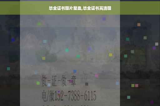 毕业证书图片整蛊,毕业证书高清图