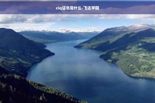 ciq证书是什么-飞达学院