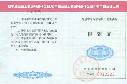 初中毕业证上的编号是什么啊,初中毕业证上的编号是什么啊？初中毕业证上的