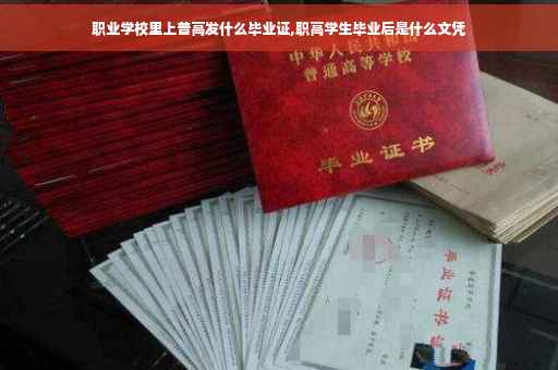 职业学校里上普高发什么毕业证,职高学生毕业后是什么文凭