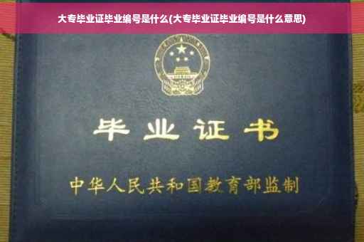 大专毕业证毕业编号是什么(大专毕业证毕业编号是什么意思)