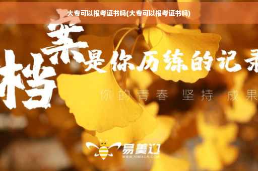 大专可以报考证书吗(大专可以报考证书吗)
