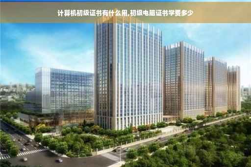 计算机初级证书有什么用,初级电脑证书学费多少