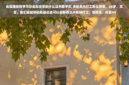 去蓝翔技校学习毕业后会拿到什么证书跟学历,去新西兰打工怎么样啊，20岁，文盲。我们县城劳动局最近说可以去新西兰大牧场打工，包吃住，月薪40