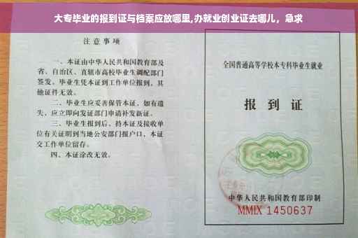 大专毕业的报到证与档案应放哪里,办就业创业证去哪儿，急求