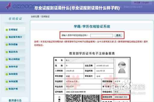 毕业证报到证是什么(毕业证报到证是什么样子的)