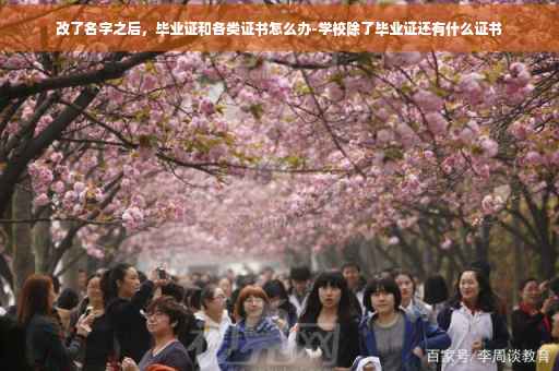 改了名字之后，毕业证和各类证书怎么办-学校除了毕业证还有什么证书