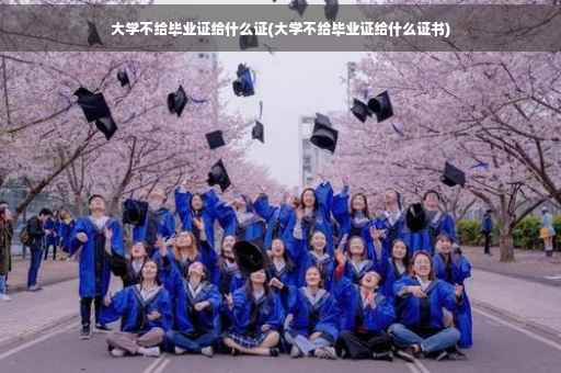 大学不给毕业证给什么证(大学不给毕业证给什么证书)