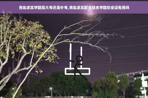 青岛求实学院是大专还是中专,青岛求实职业技术学院毕业证有用吗