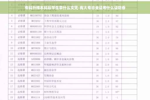 专科升格本科后学生拿什么文凭-有大专毕业证考什么证吃香