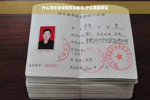 什么是毕业证报到证编号,什么是报到证