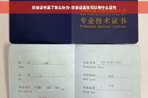毕业证书丢了怎么补办-毕业证丢失可以考什么证书