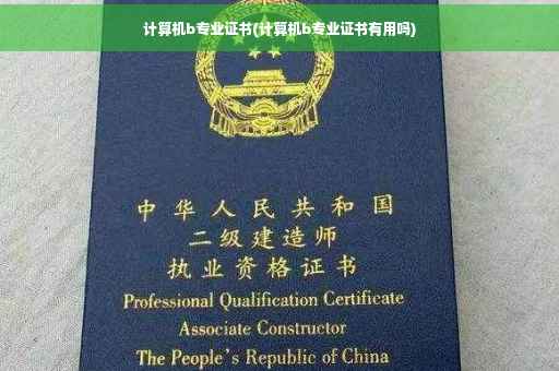 计算机b专业证书(计算机b专业证书有用吗)