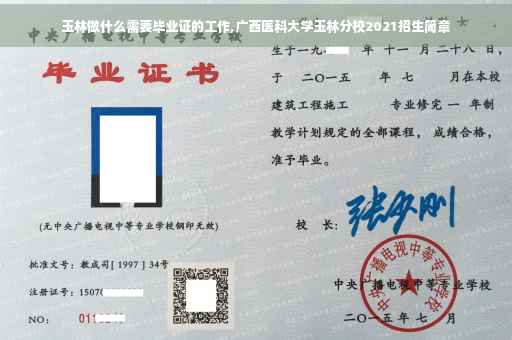 玉林做什么需要毕业证的工作,广西医科大学玉林分校2021招生简章