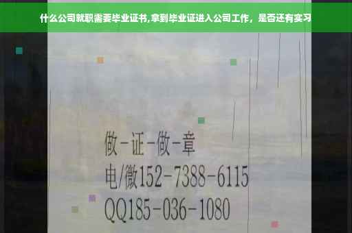什么公司就职需要毕业证书,拿到毕业证进入公司工作，是否还有实习