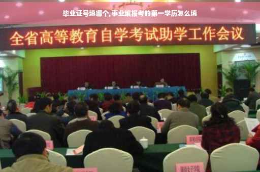 毕业证号填哪个,事业编报考的第一学历怎么填