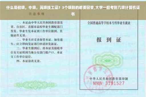 公司在劳动仲裁的时候出假合同，我该怎么办,单位提供虚假的收入证明