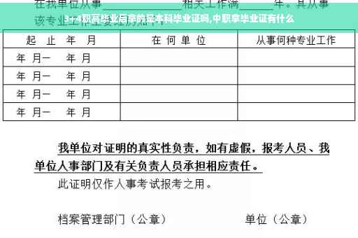 3+4职高毕业后拿的是本科毕业证吗,中职拿毕业证有什么