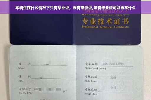 本科生在什么情况下只有毕业证，没有学位证,没有毕业证可以自学什么