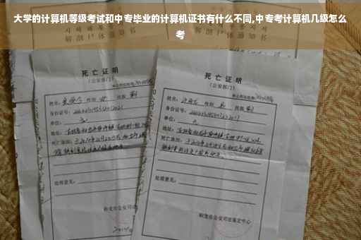 大学的计算机等级考试和中专毕业的计算机证书有什么不同,中专考计算机几级怎么考