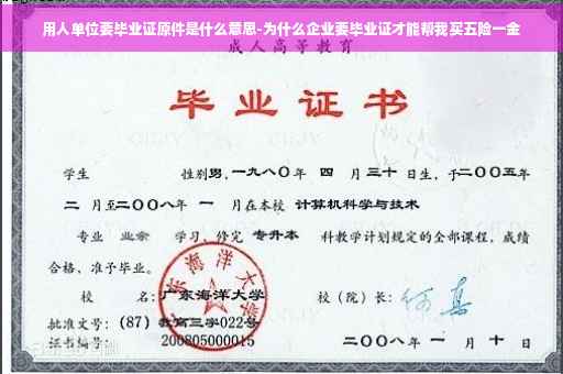 用人单位要毕业证原件是什么意思-为什么企业要毕业证才能帮我买五险一金