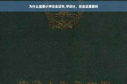 为什么需要小学毕业证书,学设计，毕业证重要吗