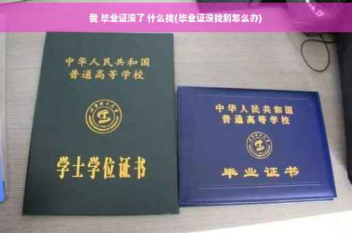 我 毕业证没了 什么找(毕业证没找到怎么办)