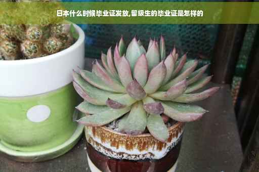 日本什么时候毕业证发放,留级生的毕业证是怎样的