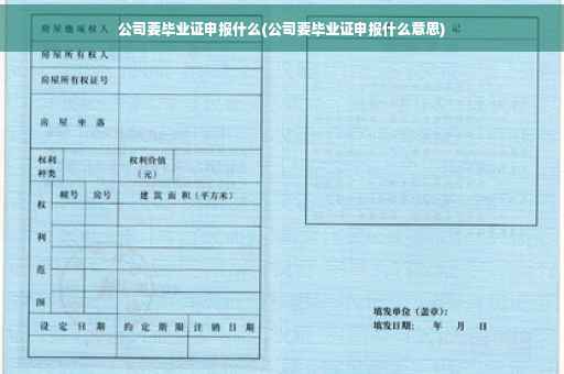 公司要毕业证申报什么(公司要毕业证申报什么意思)