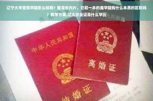 辽宁大学亚奥学院怎么样啊？我是省内的。它和一本的商学院有什么本质的区别吗？教学方面,辽大毕业证是什么学历
