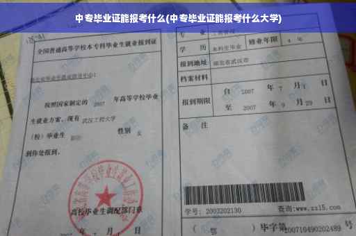 中专毕业证能报考什么(中专毕业证能报考什么大学)