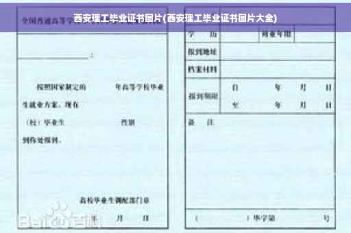 西安理工毕业证书图片(西安理工毕业证书图片大全)