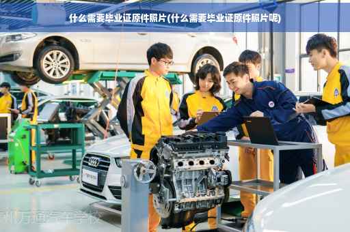 什么需要毕业证原件照片(什么需要毕业证原件照片呢)