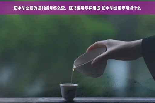 初中毕业证的证书编号怎么查，证书编号怎样组成,初中毕业证序号填什么