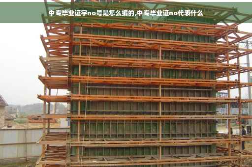 中专毕业证字no号是怎么编的,中专毕业证no代表什么