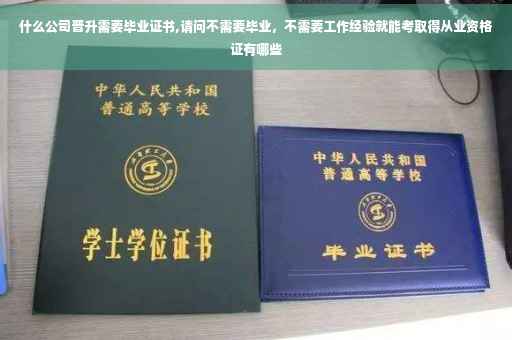 什么公司晋升需要毕业证书,请问不需要毕业，不需要工作经验就能考取得从业资格证有哪些