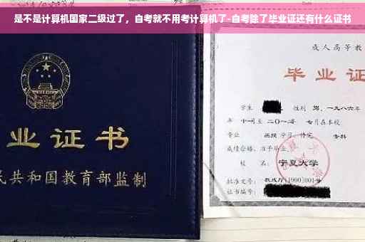 是不是计算机国家二级过了，自考就不用考计算机了-自考除了毕业证还有什么证书