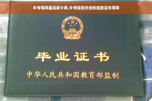 中专等级最高多少级,中专技校毕业的技能证书等级