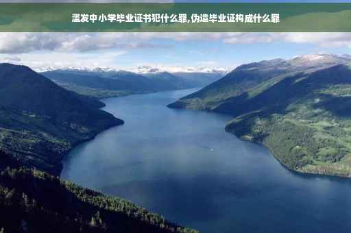 滥发中小学毕业证书犯什么罪,伪造毕业证构成什么罪