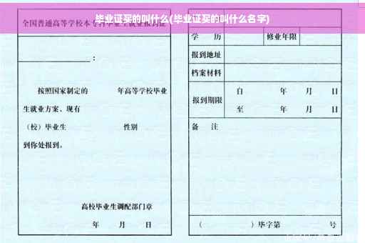 毕业证买的叫什么(毕业证买的叫什么名字)