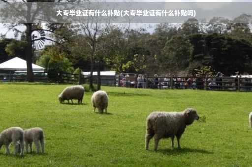 大专毕业证有什么补贴(大专毕业证有什么补贴吗)