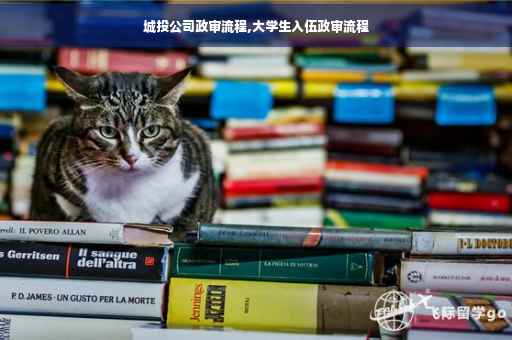 城投公司政审流程,大学生入伍政审流程