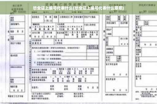 毕业证上编号代表什么(毕业证上编号代表什么意思)