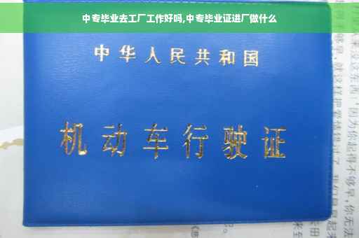 中专毕业去工厂工作好吗,中专毕业证进厂做什么