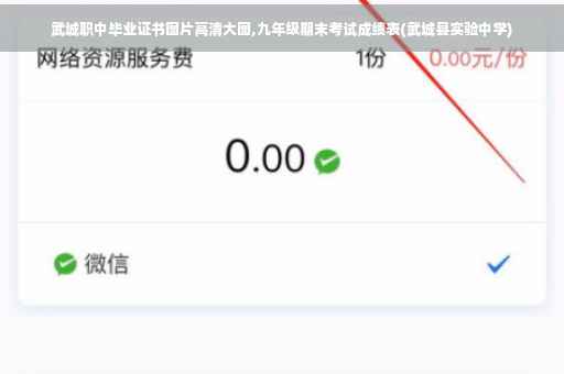 武城职中毕业证书图片高清大图,九年级期末考试成绩表(武城县实验中学)