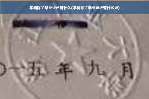 本科除了毕业证还有什么(本科除了毕业证还有什么证)