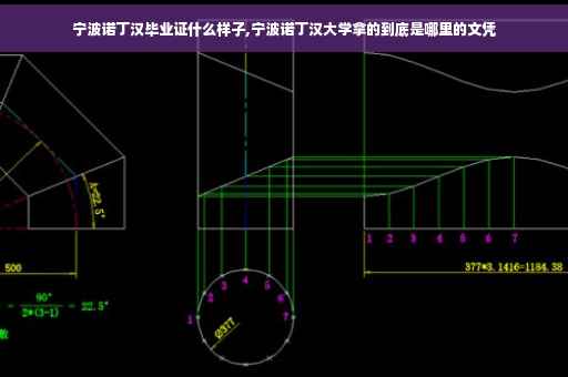 宁波诺丁汉毕业证什么样子,宁波诺丁汉大学拿的到底是哪里的文凭