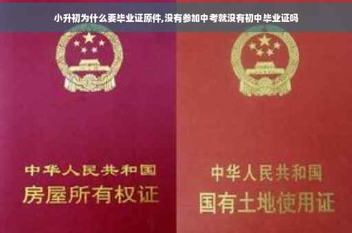 小升初为什么要毕业证原件,没有参加中考就没有初中毕业证吗