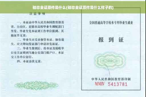验毕业证原件是什么(验毕业证原件是什么样子的)