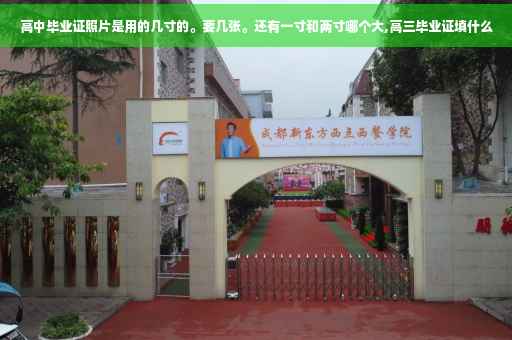 高中毕业证照片是用的几寸的。要几张。还有一寸和两寸哪个大,高三毕业证填什么